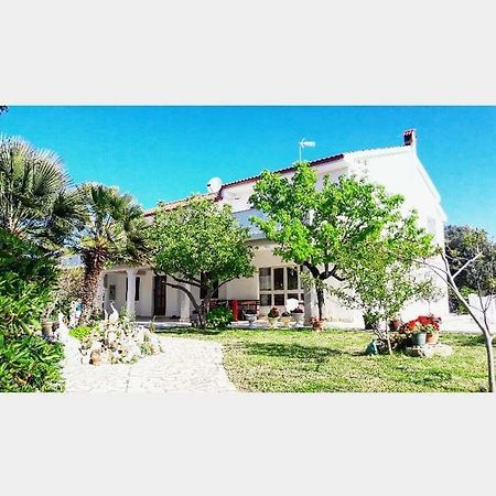 Apartman Miljenko - Matovica Kampor Dış mekan fotoğraf