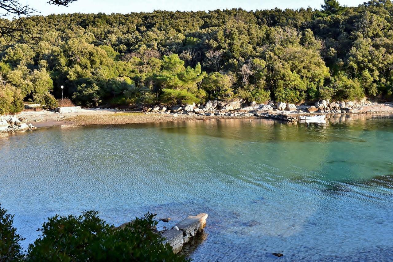 Apartman Miljenko - Matovica Kampor Dış mekan fotoğraf