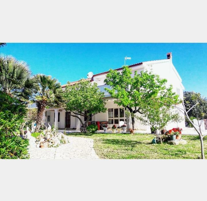 Apartman Miljenko - Matovica Kampor Dış mekan fotoğraf