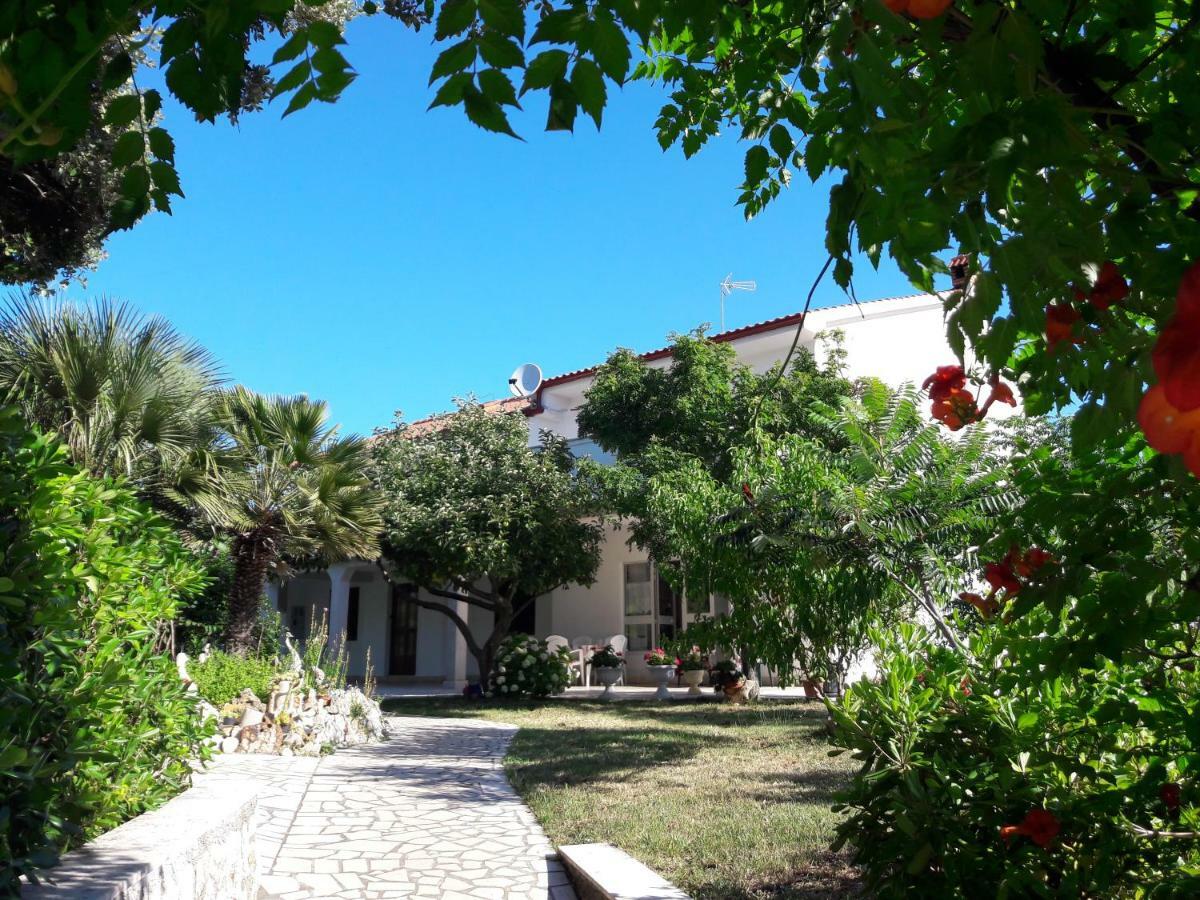 Apartman Miljenko - Matovica Kampor Dış mekan fotoğraf