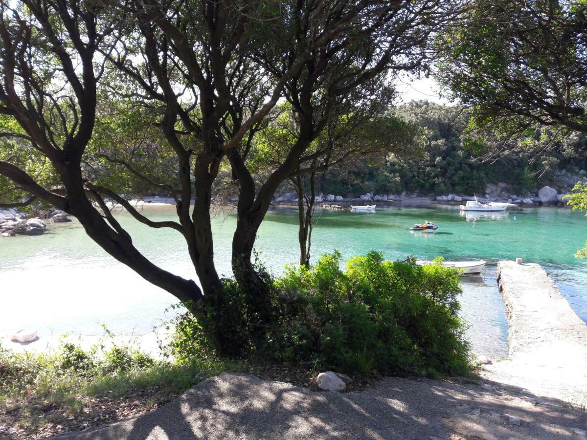 Apartman Miljenko - Matovica Kampor Dış mekan fotoğraf